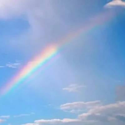 乐鱼官网-登录入口