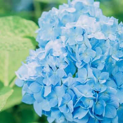 澳门第一娱乐娱城官网app下载