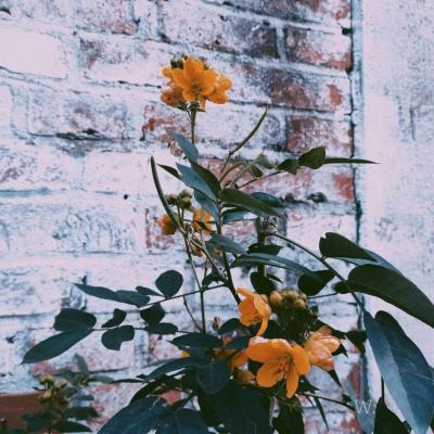 365平台官方版下载app下载