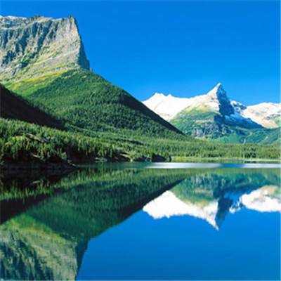 365在线手机app下载截图